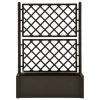 Garden Raised Bed with Trellis and Self Watering System Mocha