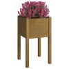 Garden Planters 2 pcs Honey Brown 15.7"x15.7"x27.6" Solid Wood Pine